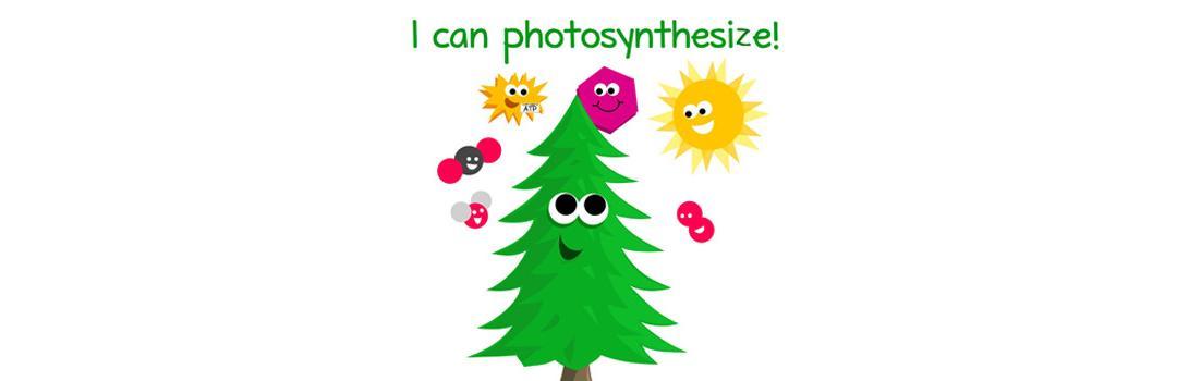 There’s More to Photosynthesis than just Plants, Sun and Carbon Dioxide
